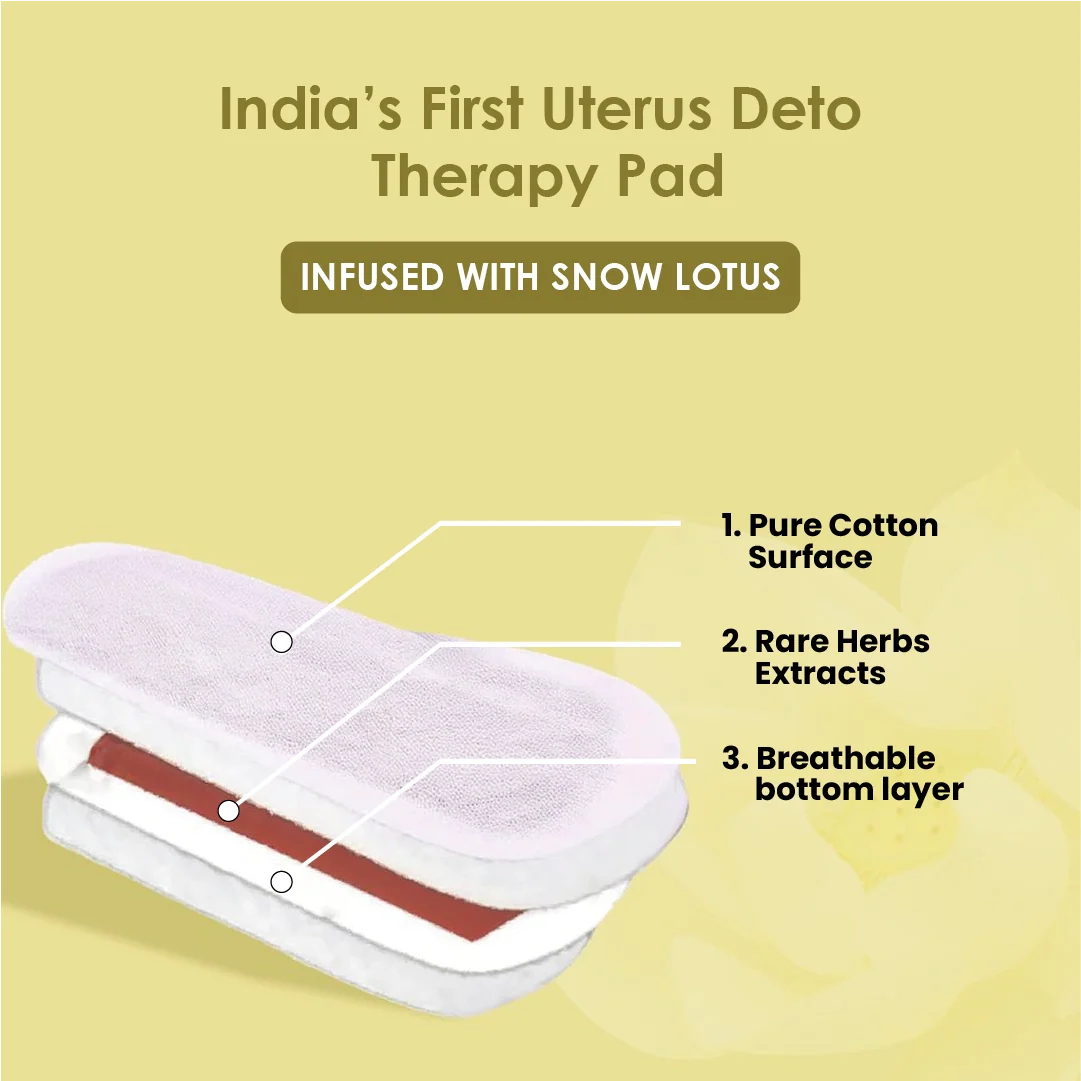 Zoy® Snow Lotus Therapy Pad | Daily Herbal Intimate Wellness - Image 2